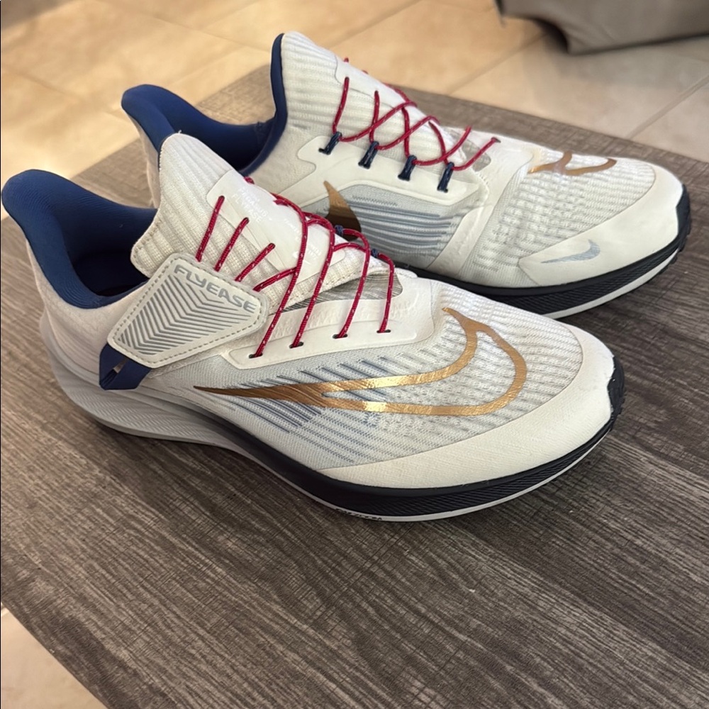 Nike Zoom Pegasus 39 Flyease